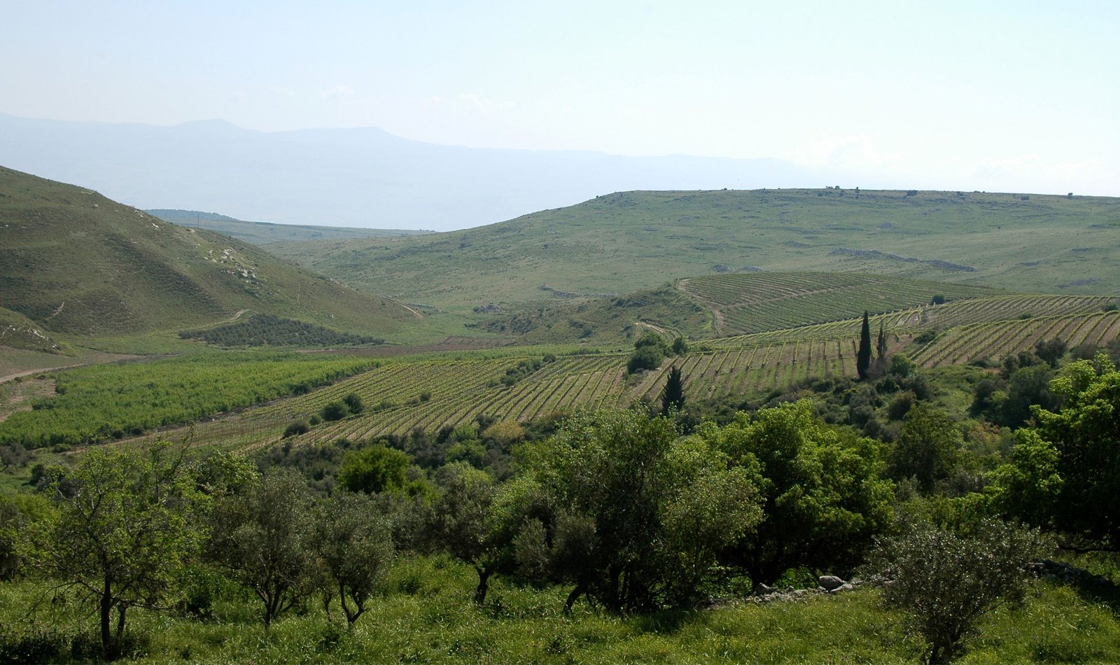Galil Mountain Winery (יקב הרי גליל)