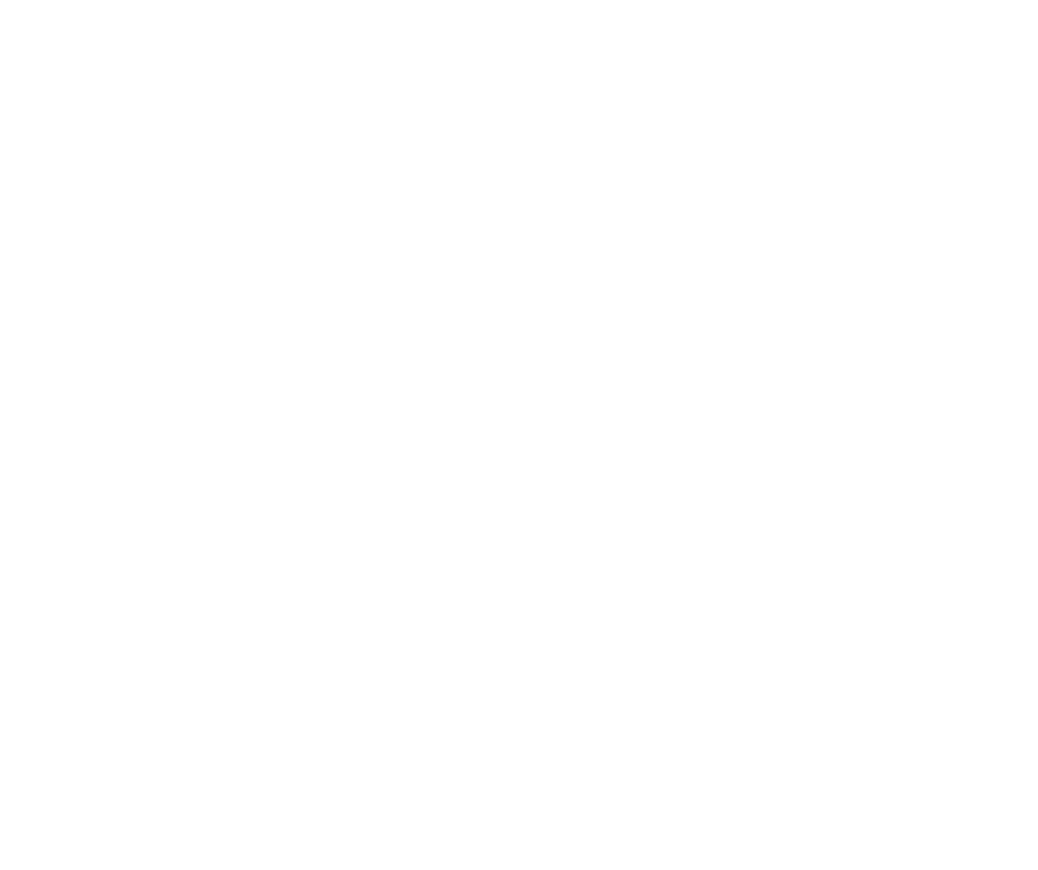 Логотип Tel Shifon Winery