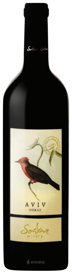 Aviv Shiraz
