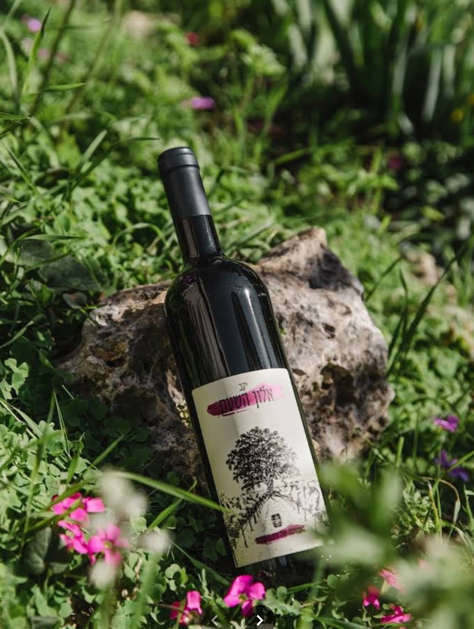 יקב אלון השעם - Alon Hasham Winery