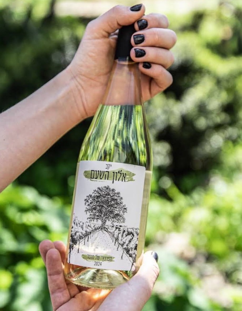 יקב אלון השעם - Alon Hasham Winery
