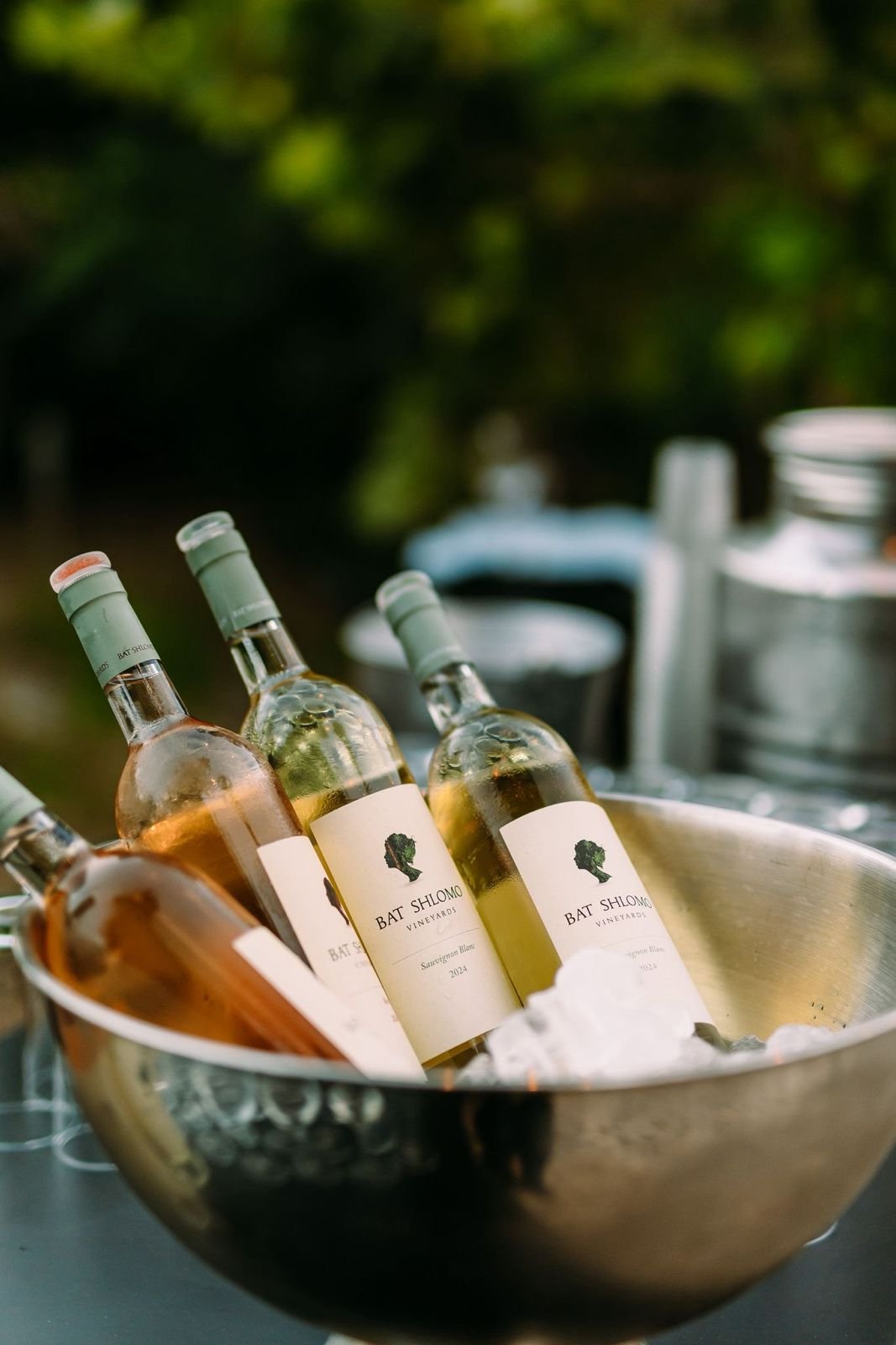Bat Shlomo Vineyards