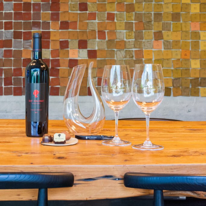 Bat Shlomo Vineyards