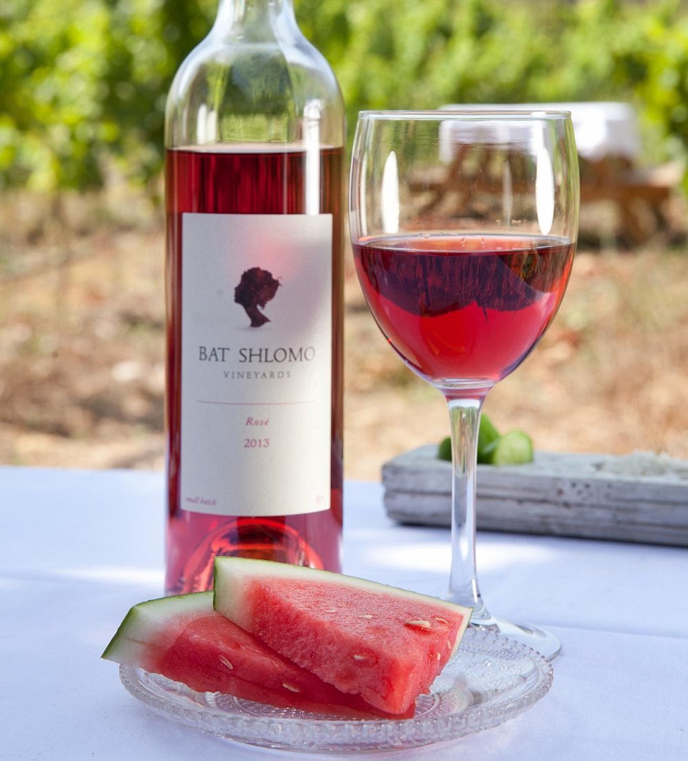 Bat Shlomo Vineyards