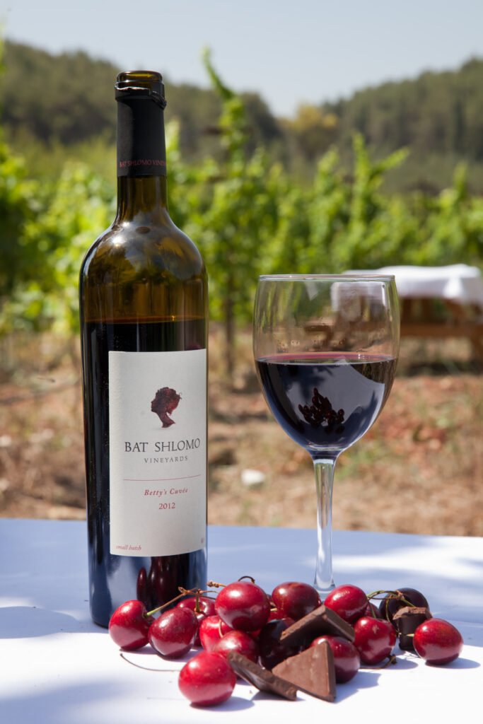 Bat Shlomo Vineyards