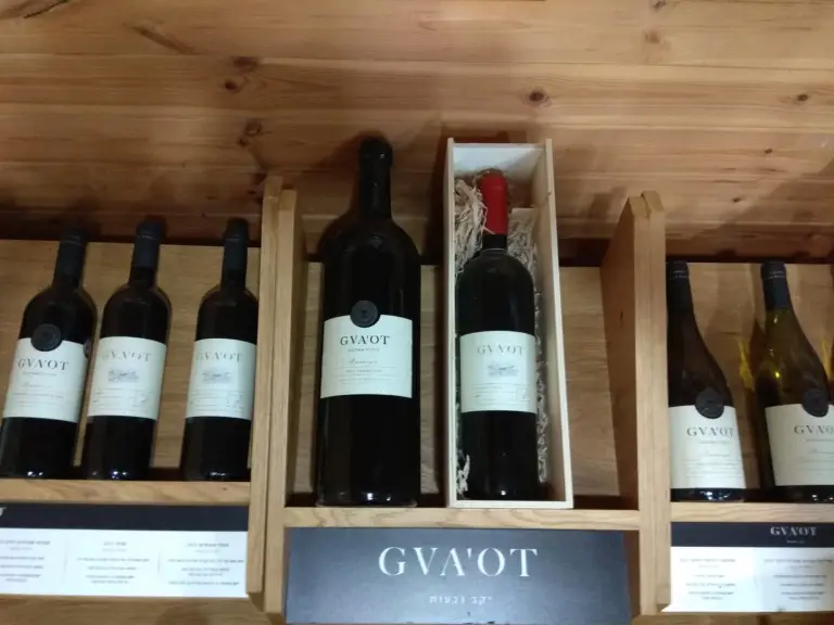 Gva'ot