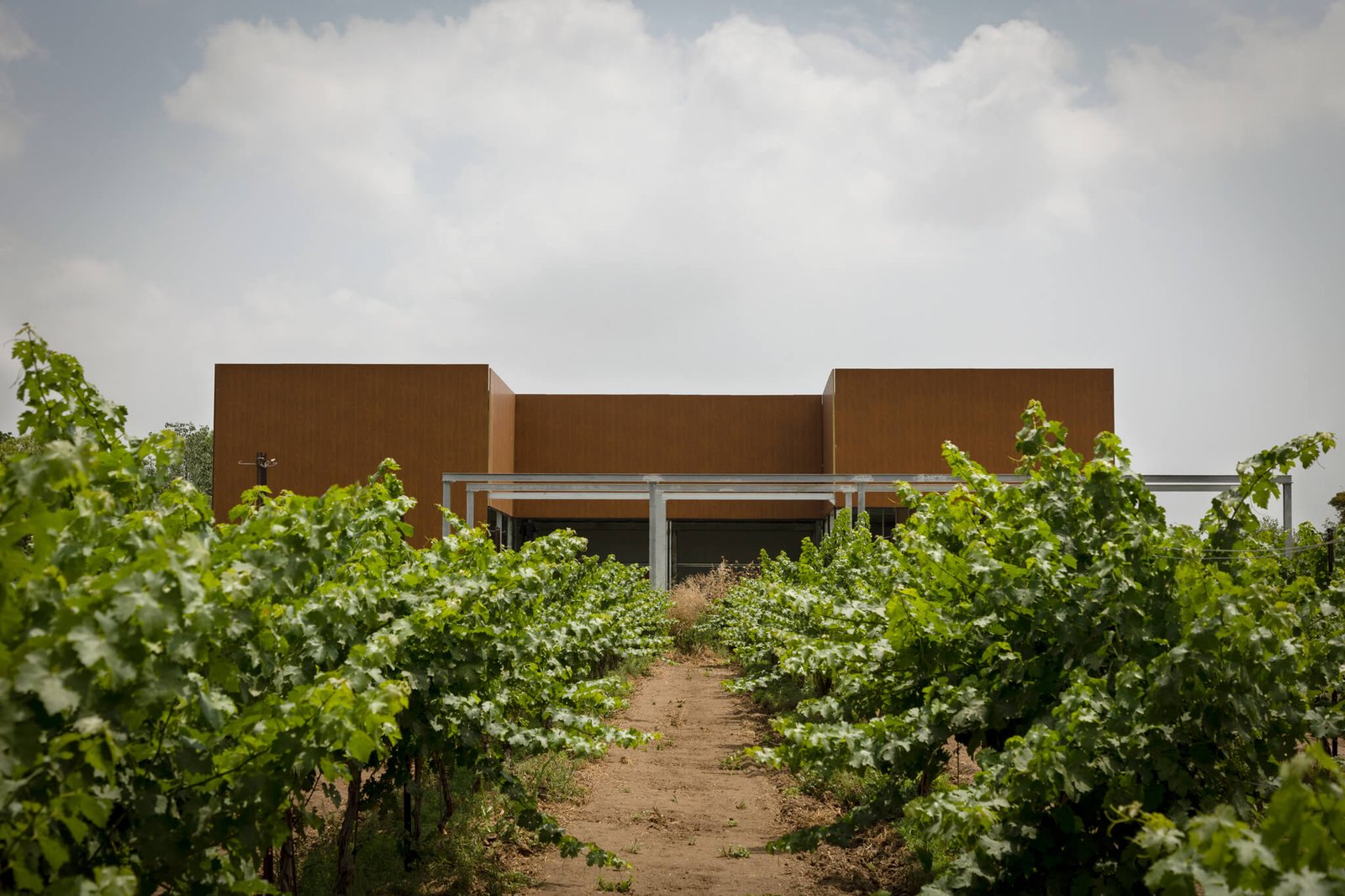 Braun Winery