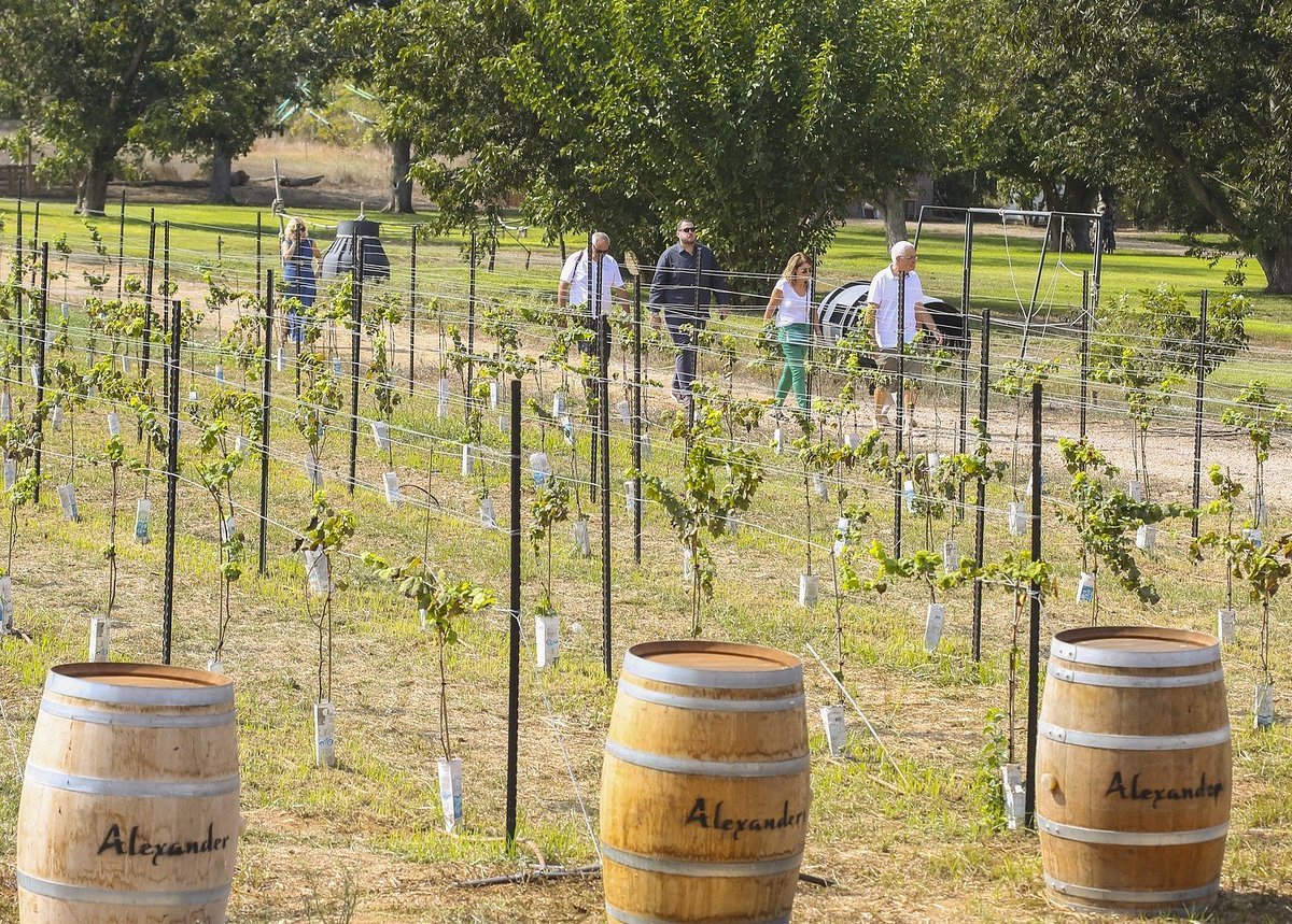 Alexander Winery