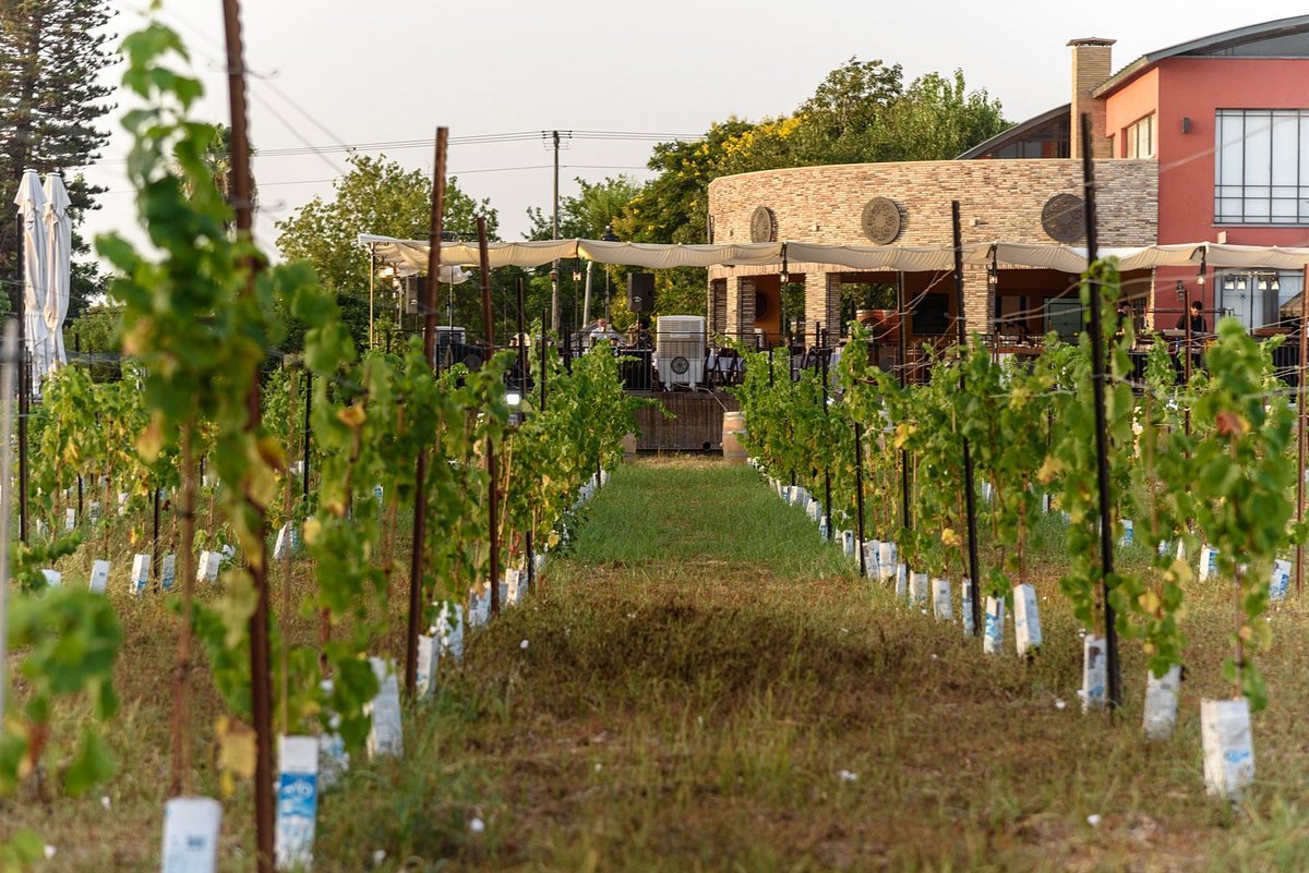 Alexander Winery