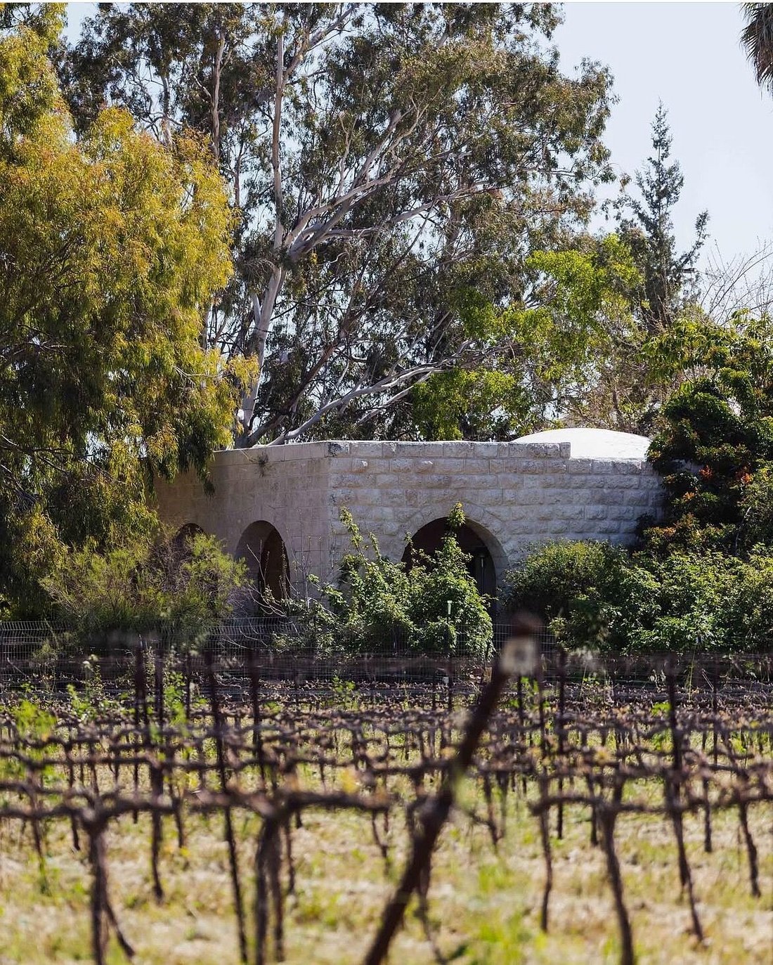 Clos de Gat