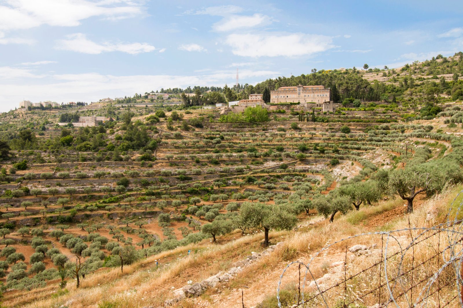 Cremisan Wine Estate