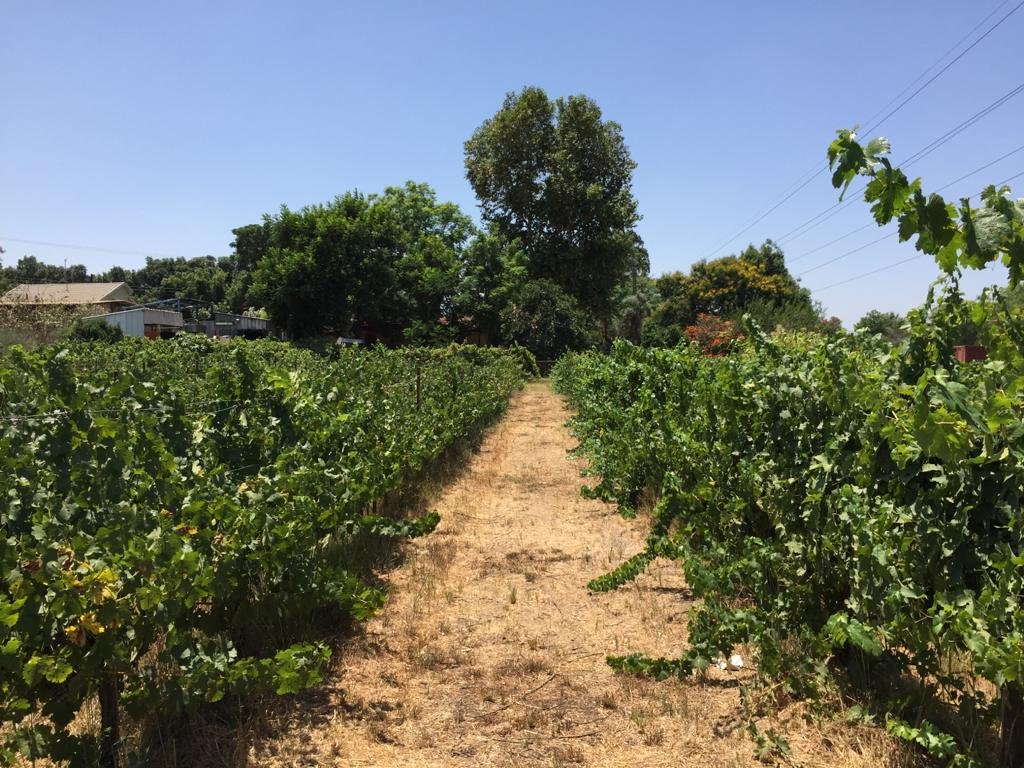 Domaine Herzberg