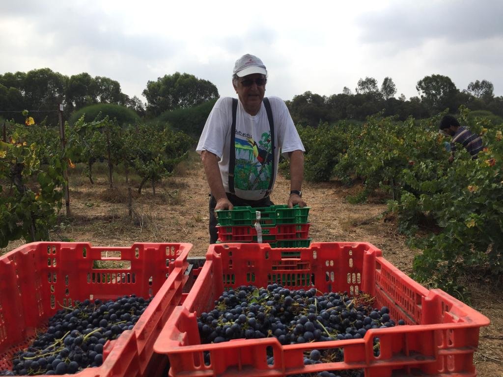 Domaine Herzberg