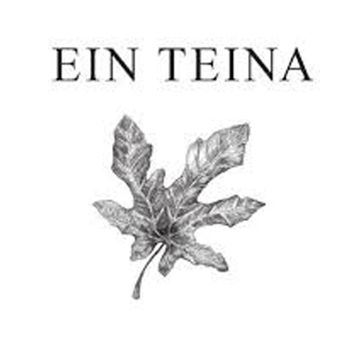 Ein Teina