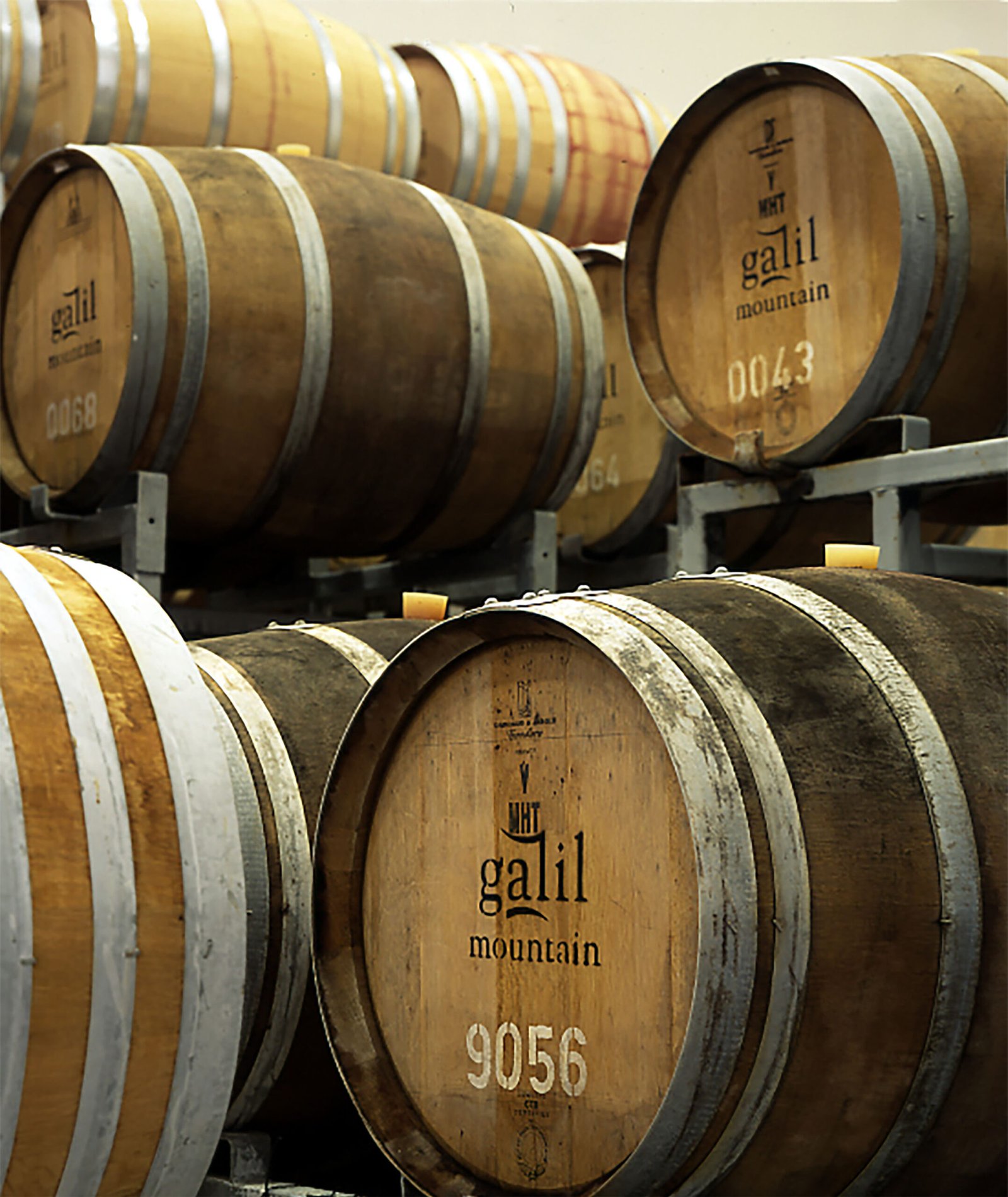 Galil Mountain Winery (יקב הרי גליל)