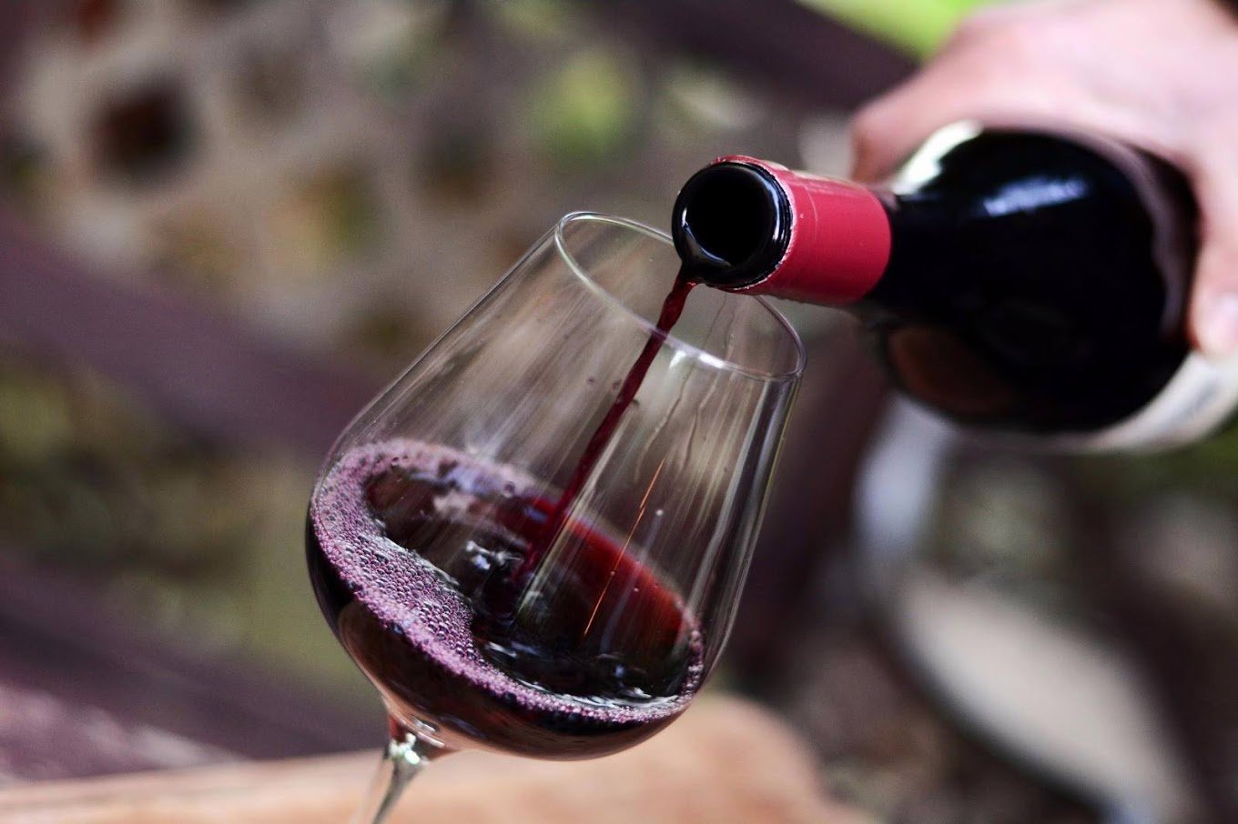 Gei Oni Winery (יקב גיא אוני)