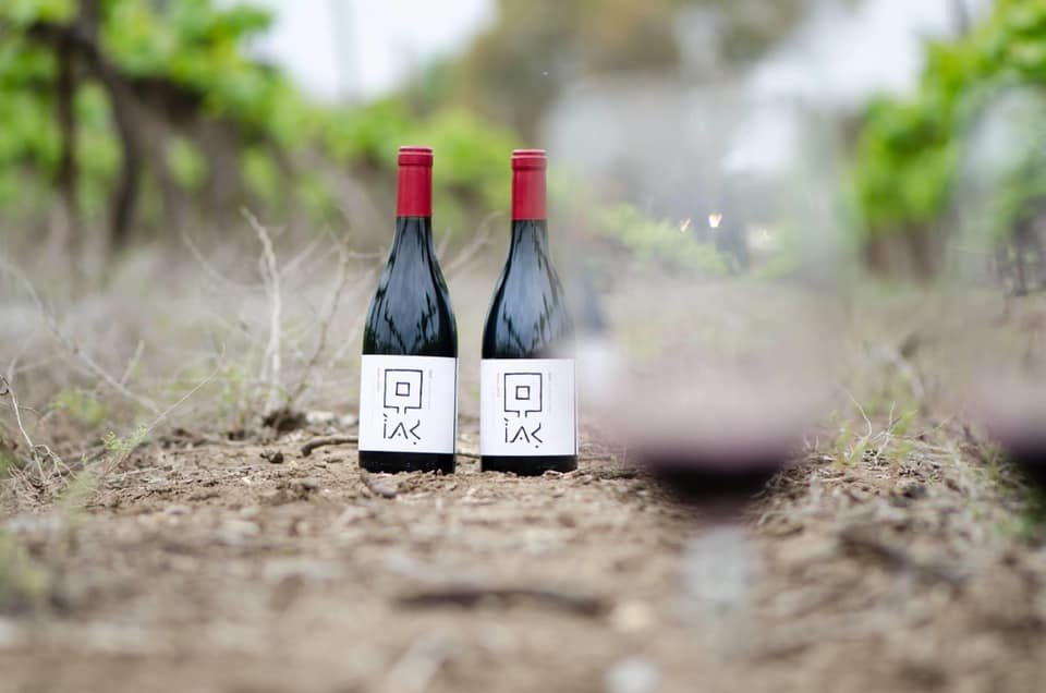 Ghito Winery