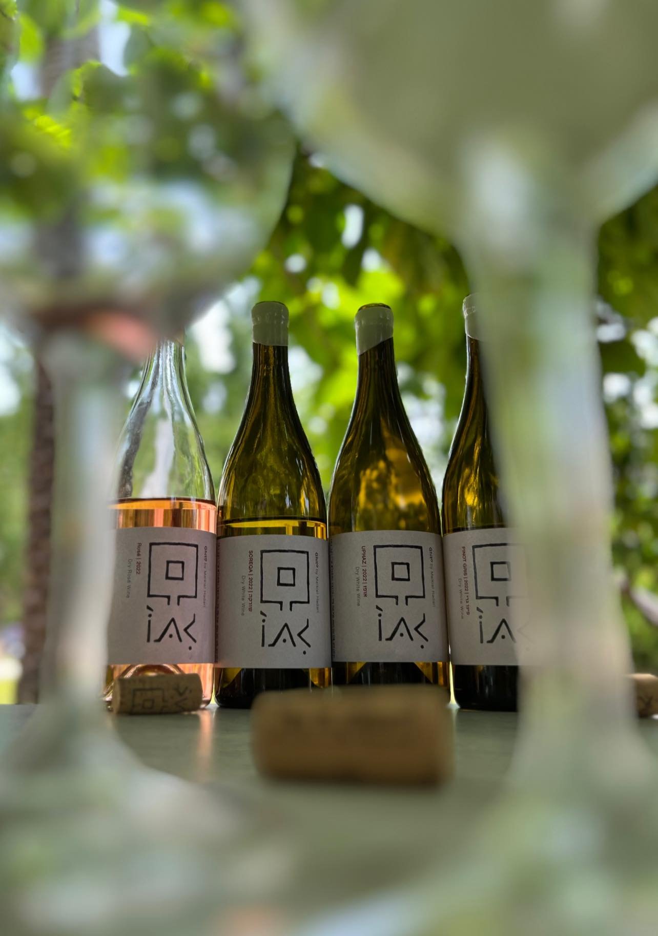 Ghito Winery