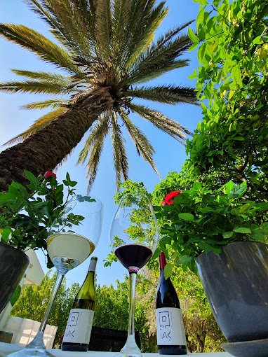 Ghito Winery