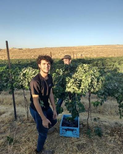 Hevron Heights Winery