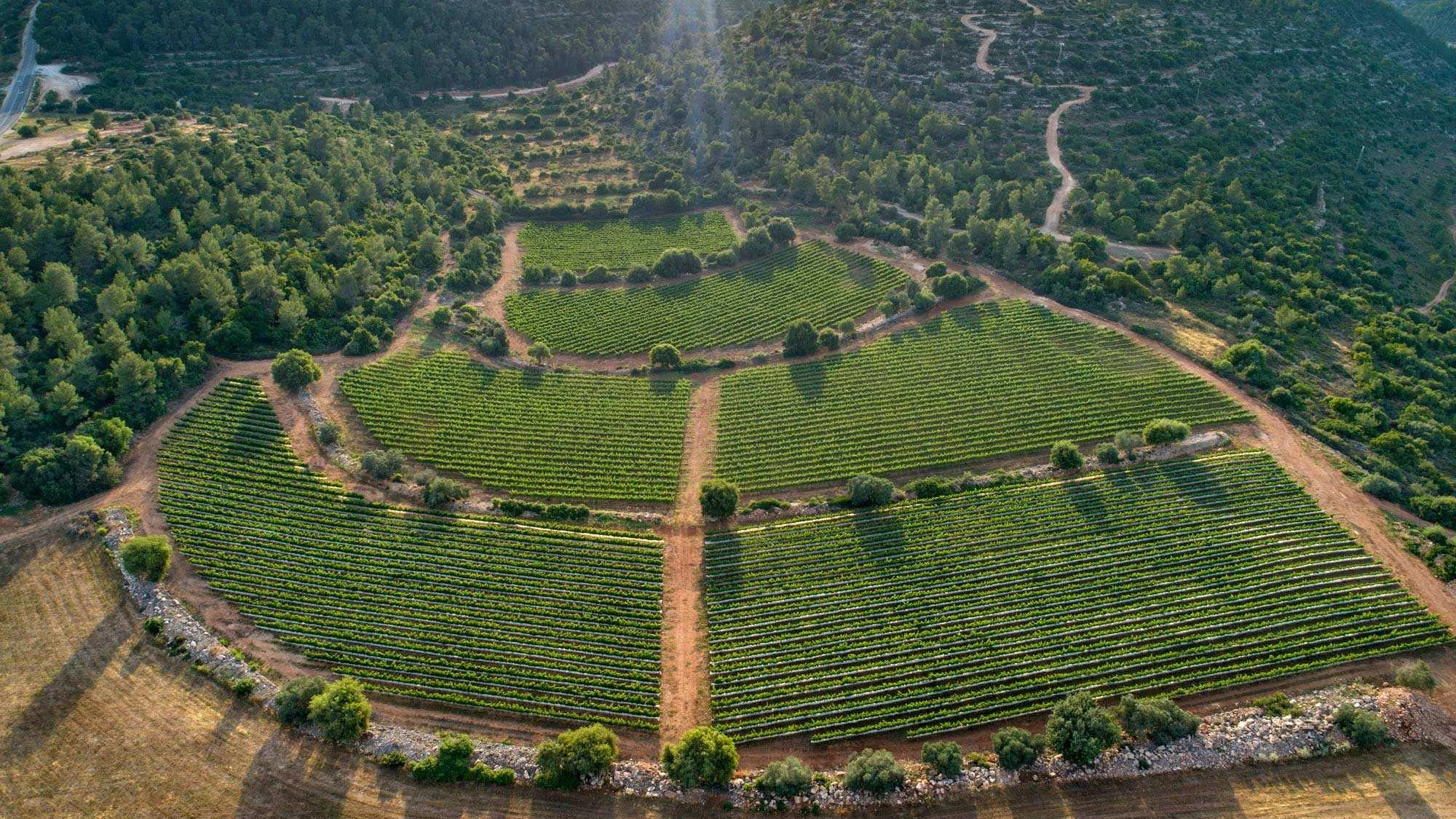 Hevron Heights Winery