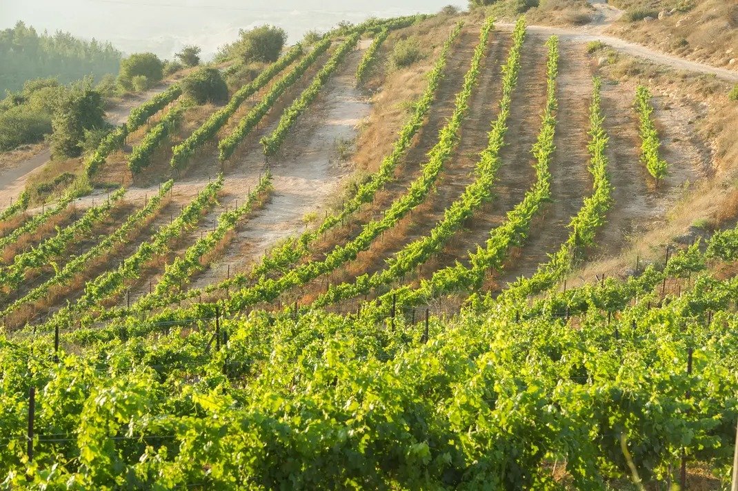 Gush Etzion