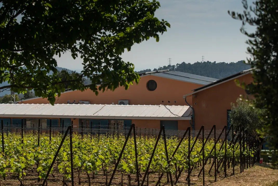 Razi'el Winery