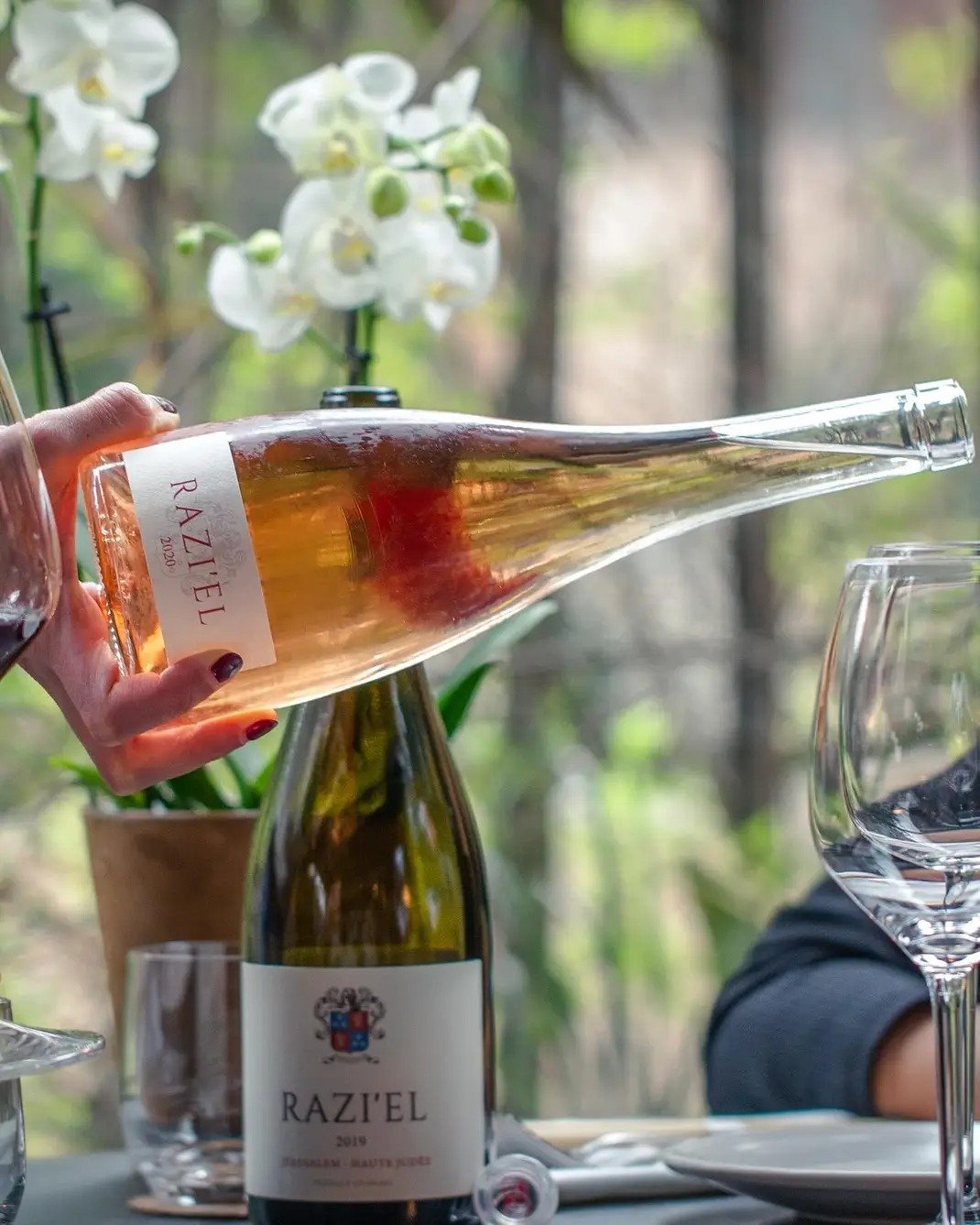 Razi'el Winery