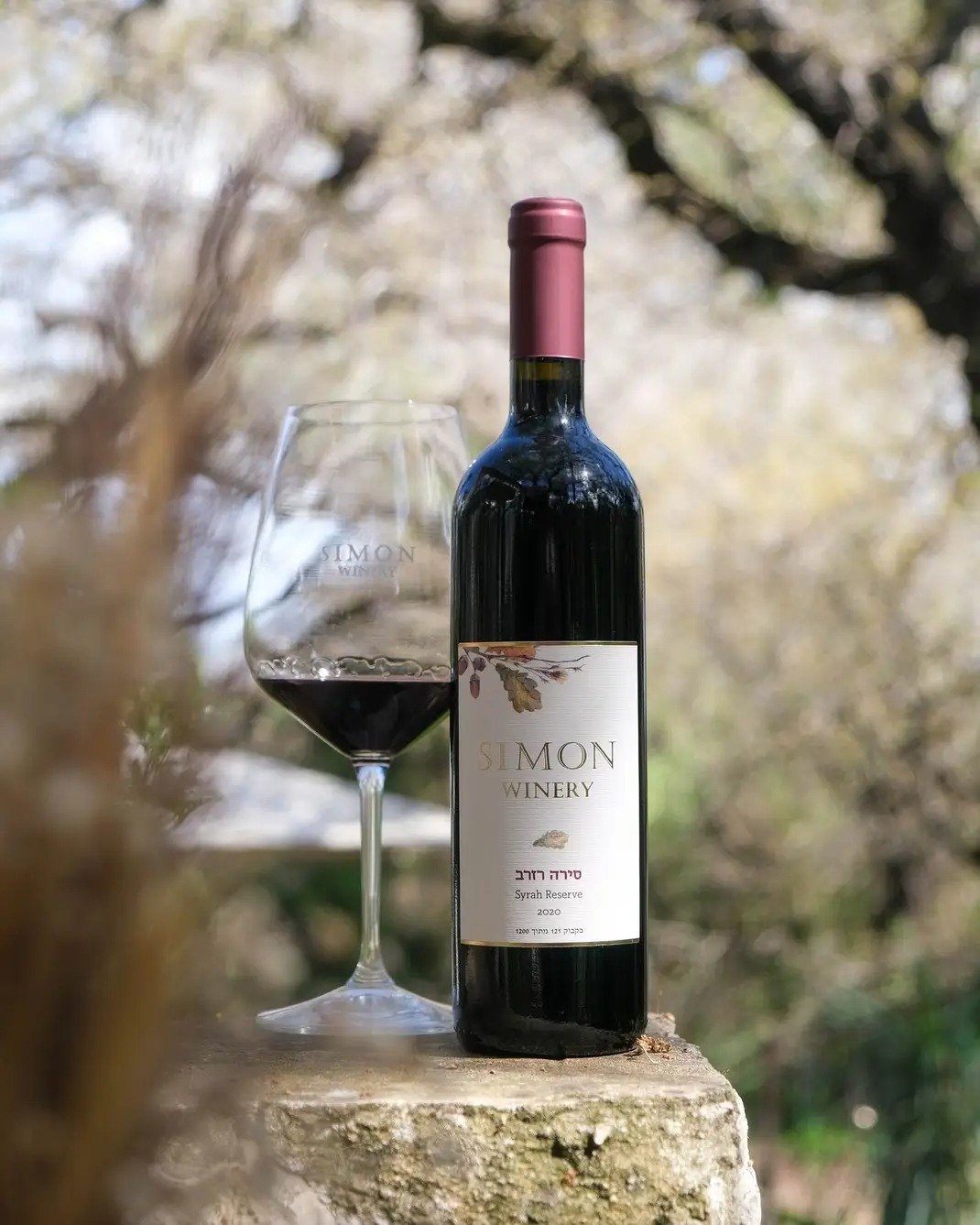 Simon Winery