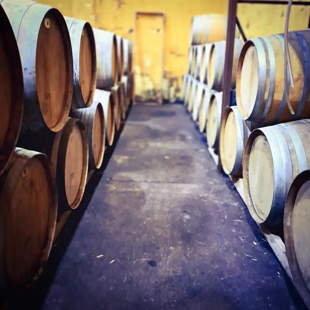 Shvo Vineyards