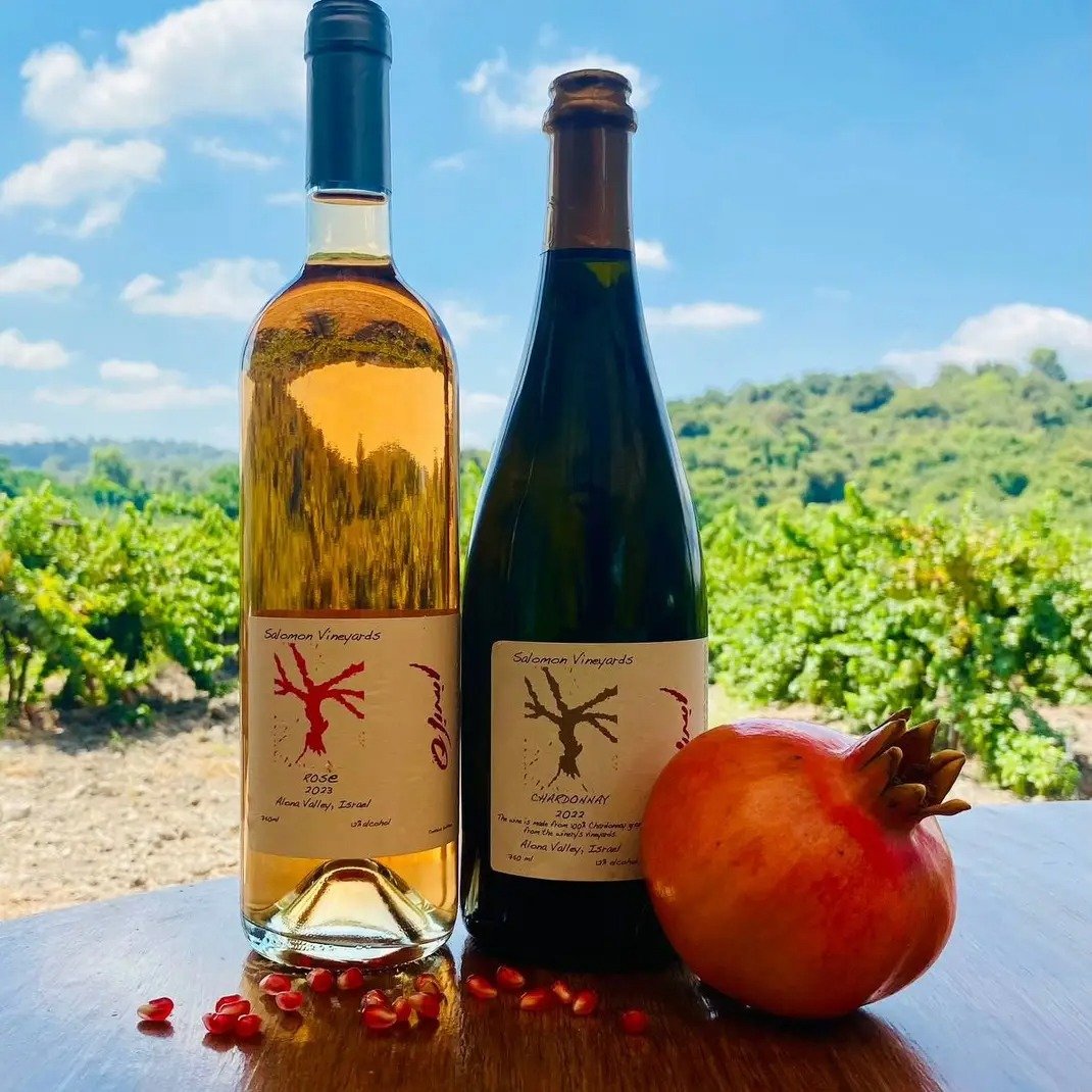 Salomon Vineyards