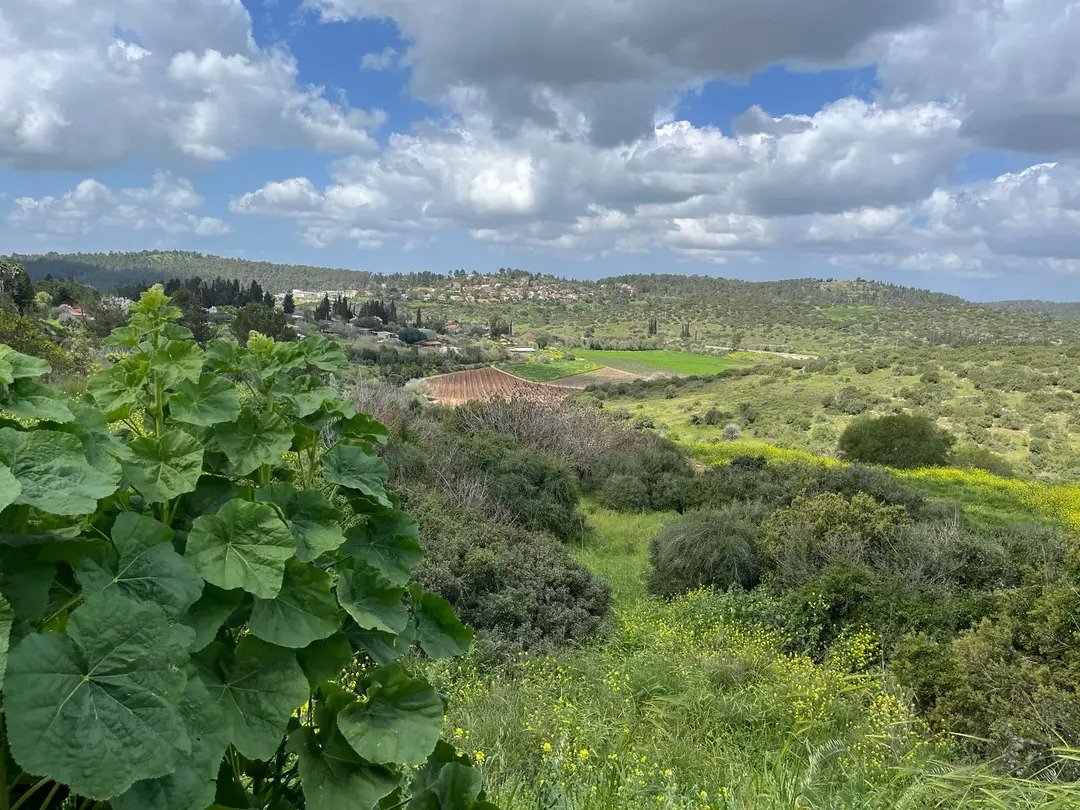 Adulam Winery & Vineyards