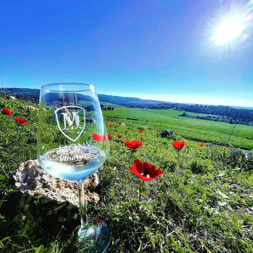 Mony Vineyard