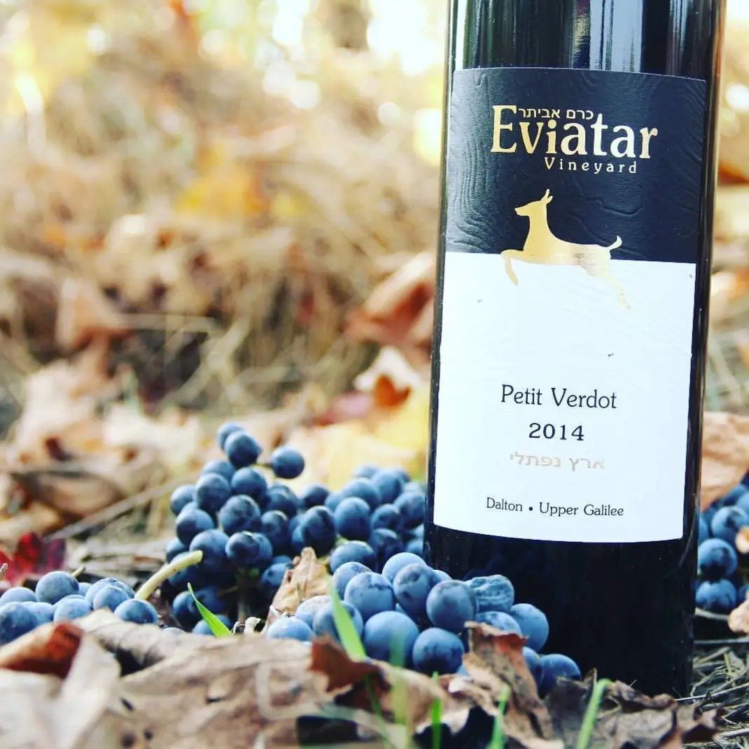 Eviatar