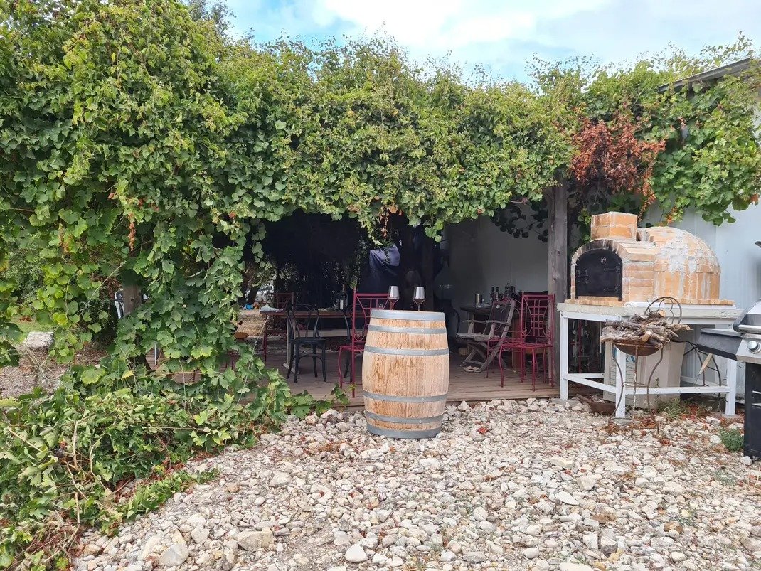Salomon Vineyards