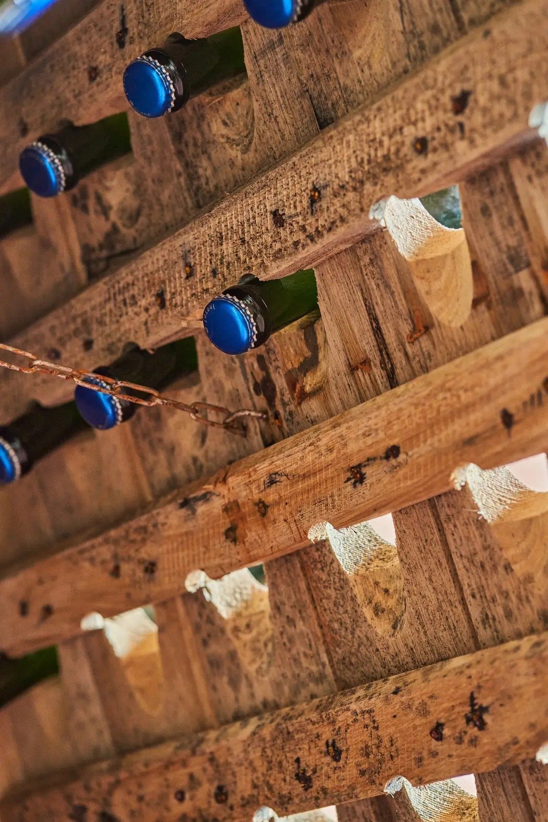 Razi'el Winery