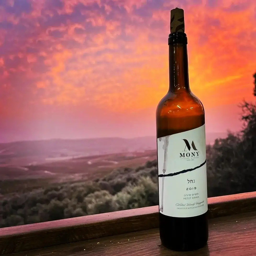 Mony Vineyard