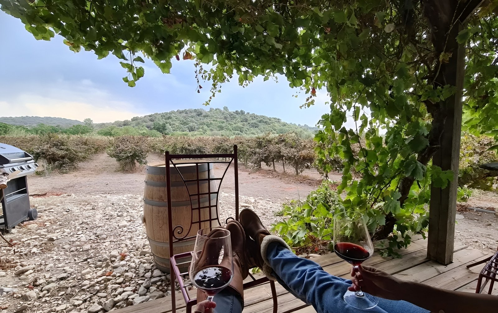Salomon Vineyards