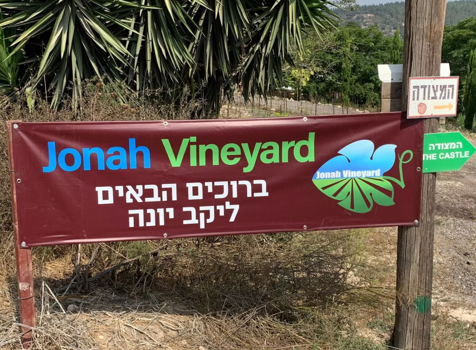 Jonah Vineyard