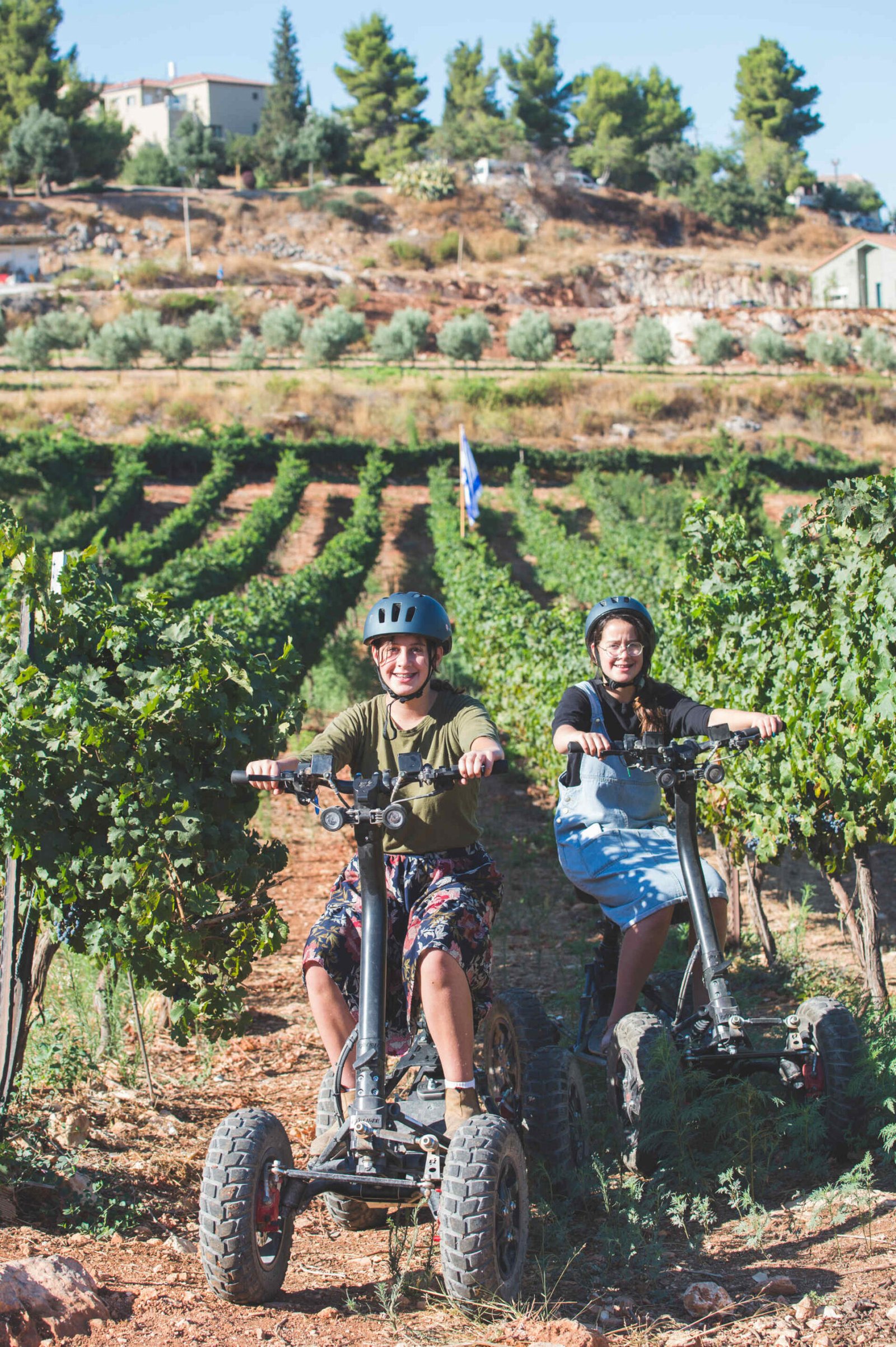 יקב כביר (Kabir Winery)