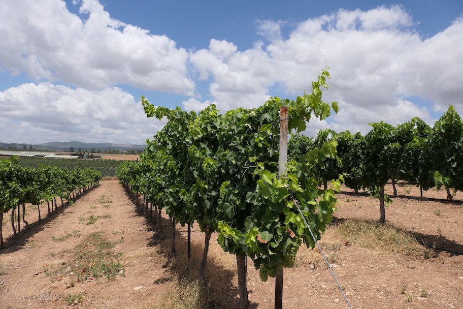 1848 Winery