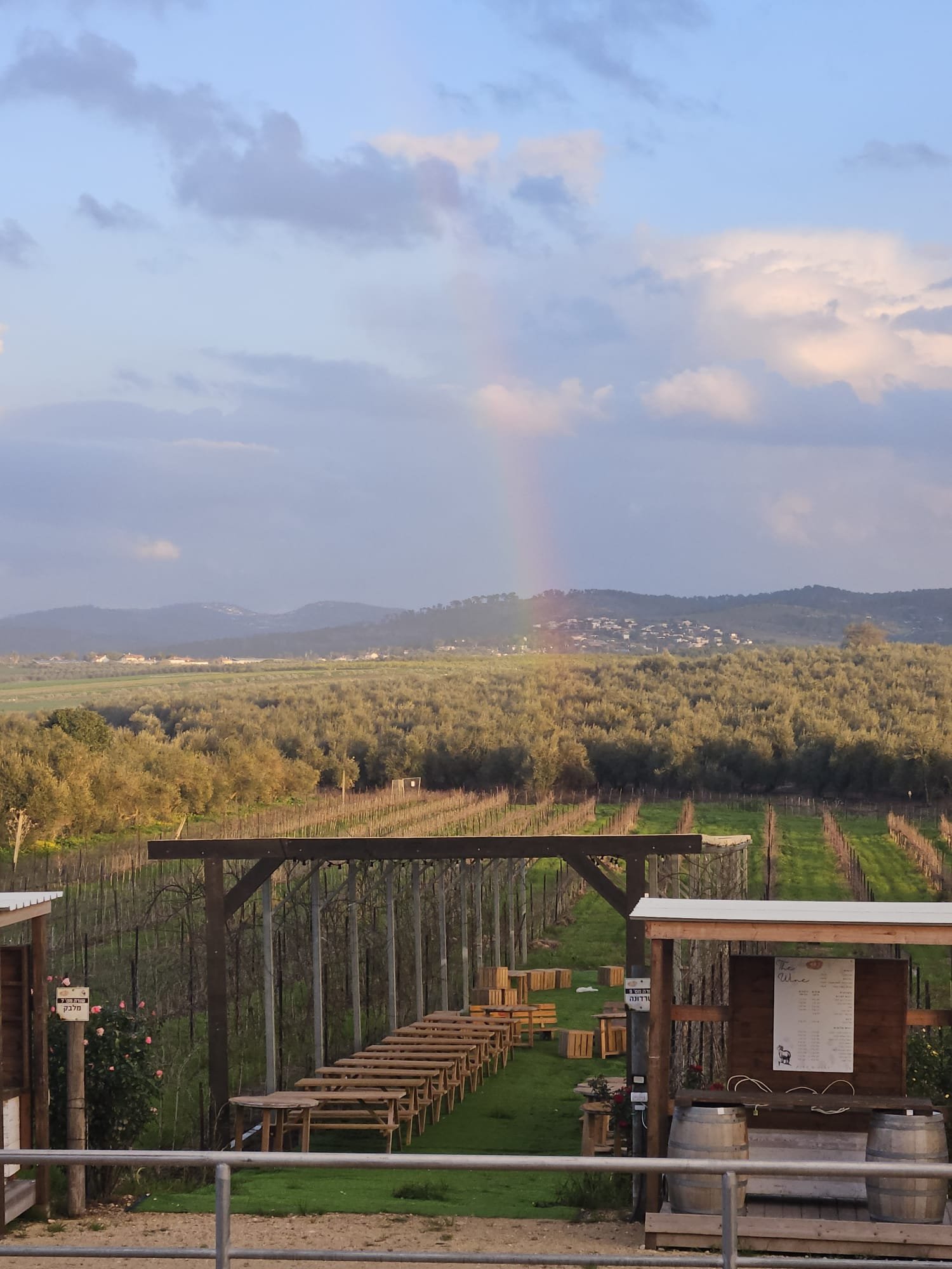 Peer Winery
