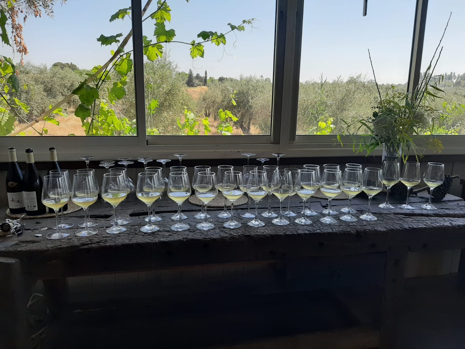 Peer Winery