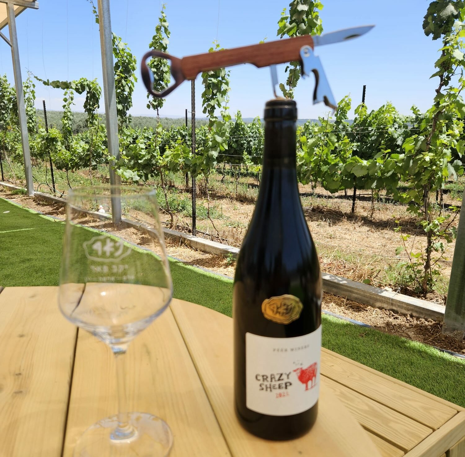 Peer Winery
