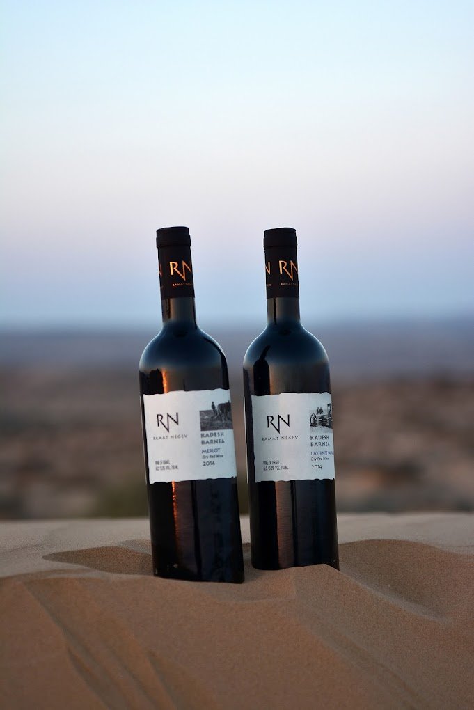 Ramat Negev