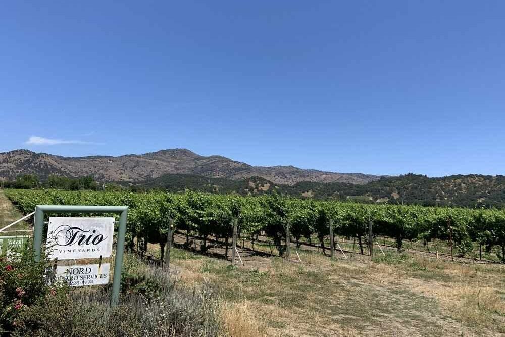 Trio Winery