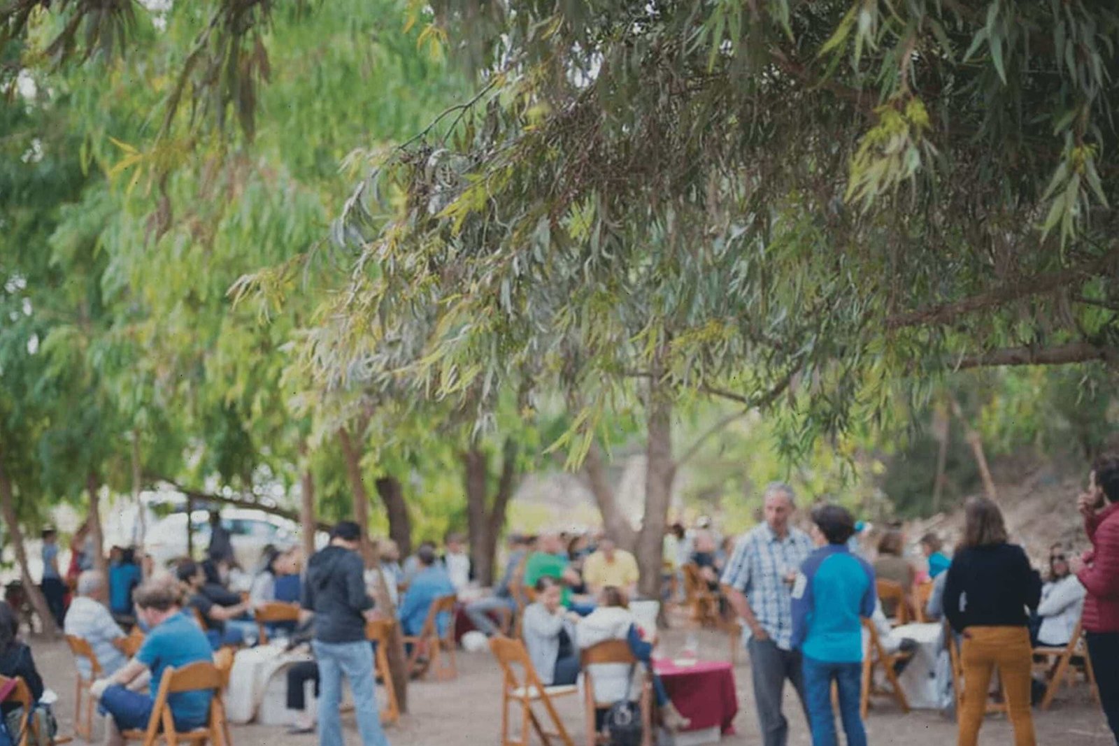 Yiftah'el Winery (אדום יפתחאל)